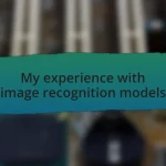 My experience with image recognition models